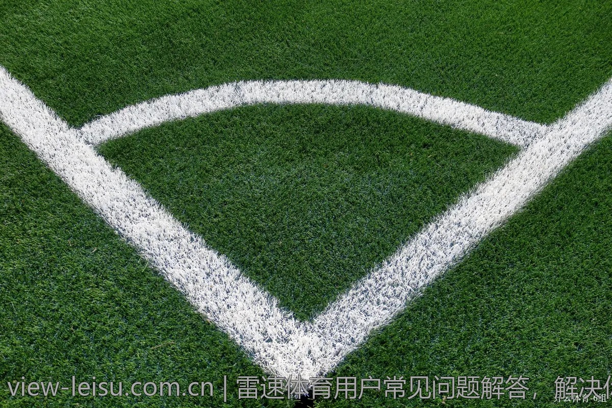雷速体育用户常见问题解答，解决你的疑惑